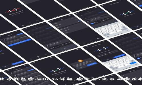 比特币钱包密码Hash详解：安全性、流程与实用技巧