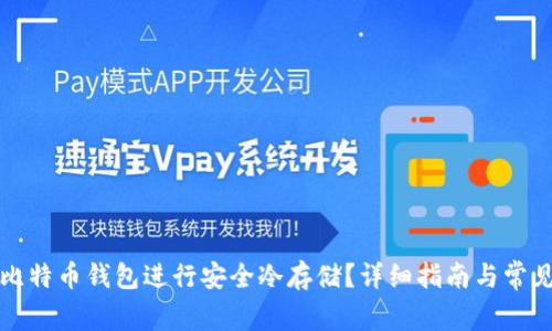 如何选择比特币钱包进行安全冷存储？详细指南与常见问题解答