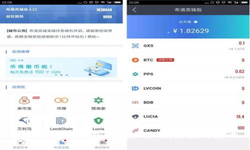 揭秘区块链钱包的庞大体积：原因与影响