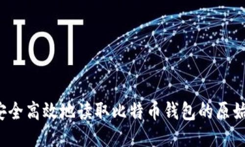 如何安全高效地读取比特币钱包的原始文件？