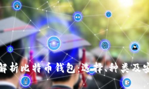 全面解析比特币钱包：选择、种类及安全性