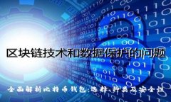 全面解析比特币钱包：选择、种类及安全性