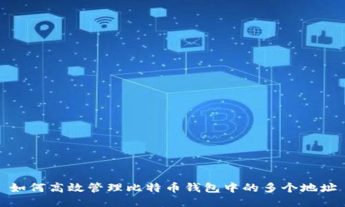 如何高效管理比特币钱包中的多个地址