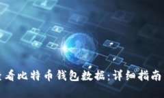 如何查看比特币钱包数据：详细指南与分析