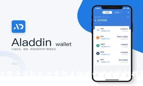 比特币钱包文件中的多地址解析及管理指南