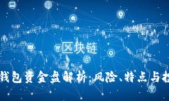区块链钱包资金盘解析：风险、特点与投资指南