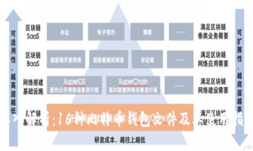深入解析：16种比特币钱包文件及其使用指南