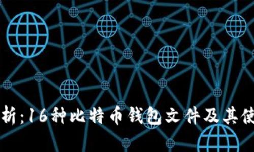 深入解析：16种比特币钱包文件及其使用指南