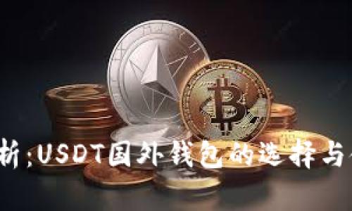  全面解析：USDT国外钱包的选择与使用指南