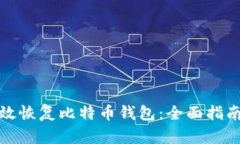 如何有效恢复比特币钱包：全面指南与技巧