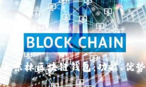 全方位解析王东林区块链钱包：功能、优势与使用指南