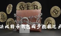 如何解决比特币钱包同步数据过大的问题