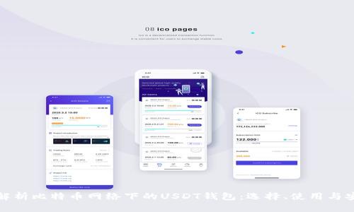 深入解析比特币网络下的USDT钱包：选择、使用与安全性