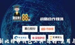 全面解析比特币钱包工具：选择、使用与安全性