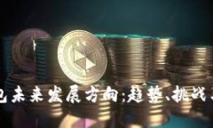区块链钱包未来发展方向：趋势、挑战与解决方