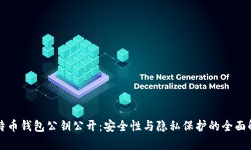 比特币钱包公钥公开：安全性与隐私保护的全面解析