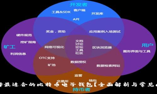 如何选择最适合的比特币电子钱包？全面解析与常见问题解答