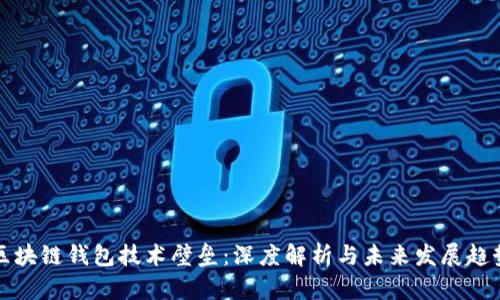 区块链钱包技术壁垒：深度解析与未来发展趋势