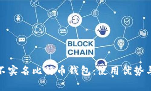 全面解析不实名比特币钱包：使用优势与潜在风险