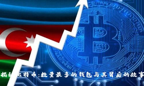 揭秘比特币：数量最多的钱包与其背后的故事