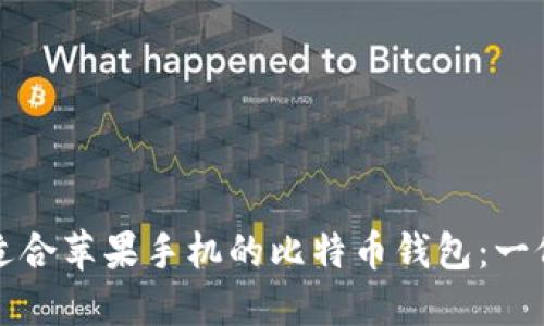 如何选择适合苹果手机的比特币钱包：一份全面指南