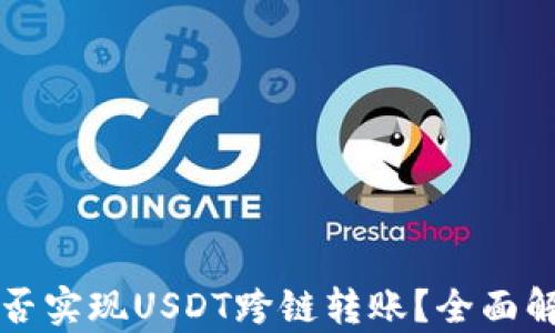 
TP钱包能否实现USDT跨链转账？全面解析与指南