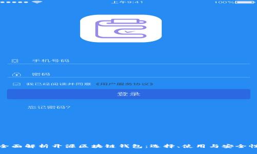 全面解析开源区块链钱包：选择、使用与安全性