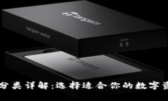 区块链钱包分类详解：选择适合你的数字资产存