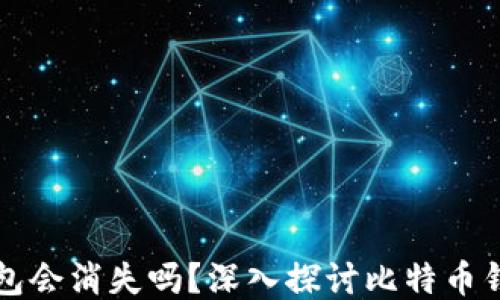 
比特币钱包会消失吗？深入探讨比特币钱包的未来