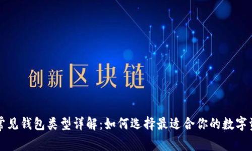 区块链常见钱包类型详解：如何选择最适合你的数字资产钱包