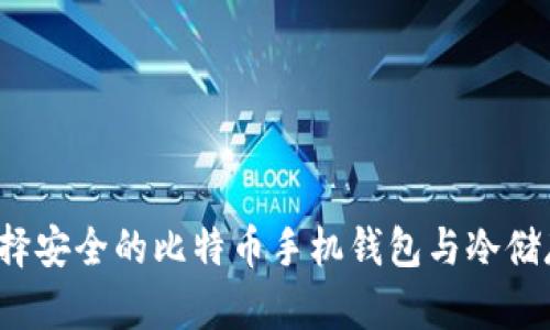 如何选择安全的比特币手机钱包与冷储存方案?