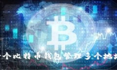 如何使用一个比特币钱包管理多个地址：全面指