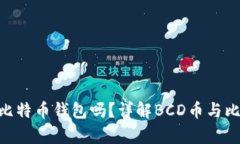 BCD币可以放比特币钱包吗？详解BCD币与比特币的