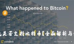 完美钱包是否支持比特币？全面解析与使用指南