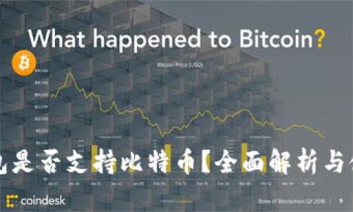 完美钱包是否支持比特币？全面解析与使用指南