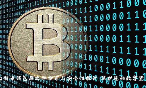 比特币钱包原文件分享与安全性探讨：保护您的数字资产