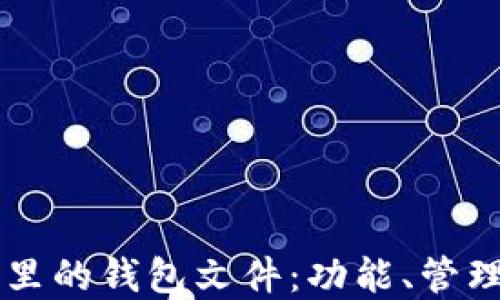 
虚拟币钱包里的钱包文件：功能、管理与安全指南
