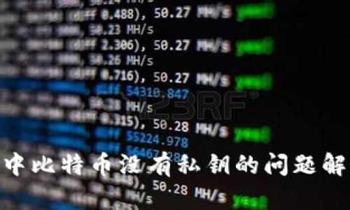 imToken钱包中比特币没有私钥的问题解析及解决方案