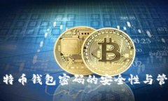 早期比特币钱包密码的安全性与管理技巧