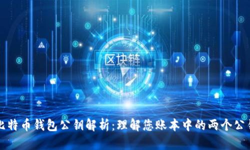 比特币钱包公钥解析：理解您账本中的两个公钥