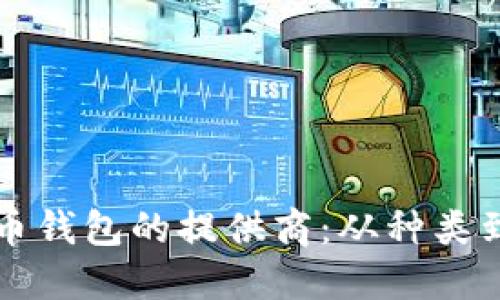 比特币钱包的提供商：从种类到推荐