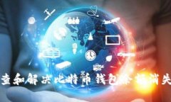 如何排查和解决比特币钱包余额消失的问题