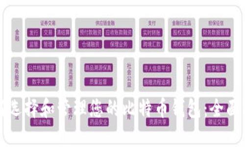 如何选择和管理您的比特币钱包：全面指南
