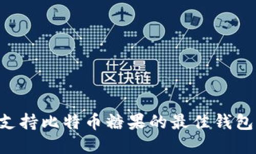 如何选择支持比特币糖果的最佳钱包：详尽指南