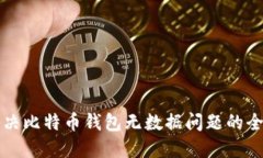 如何解决比特币钱包无数据问题的全面指南