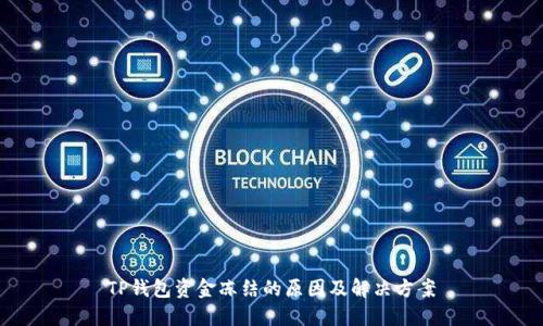 TP钱包资金冻结的原因及解决方案