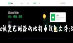 如何使用WinHex恢复已删除的比特币钱包文件：8个
