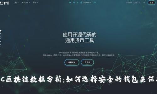 2023年BCC区块链数据分析：如何选择安全的钱包来保护你的资产