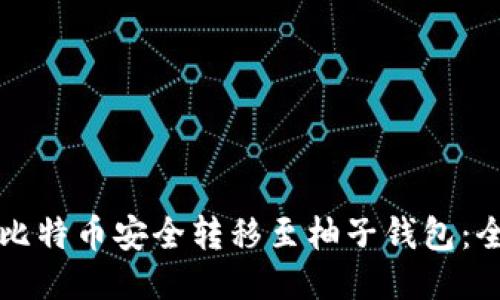 如何将比特币安全转移至柚子钱包：全面指南