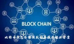 比特币钱包余额消失的原因及解决方案